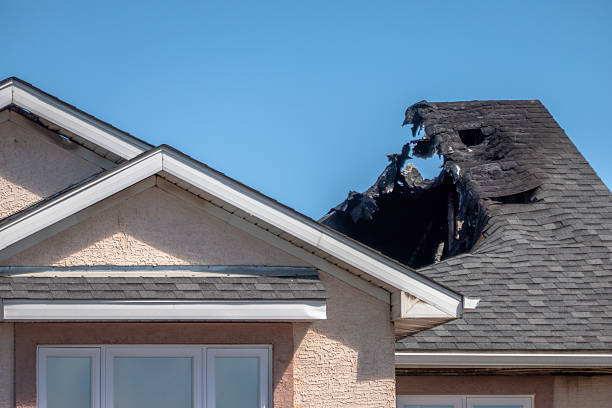 Licensed Odor Removal service in Mont Clare, PA - Fire Damage Laser Cleaning